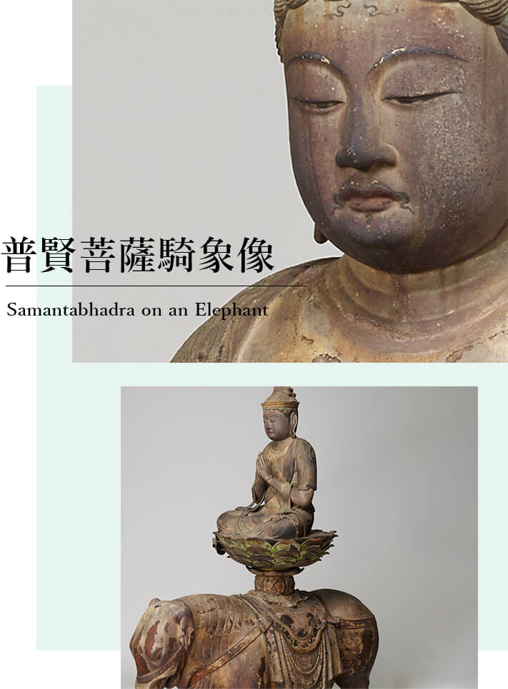 白倉嘉入 葡萄柘榴図 共箱 二重箱 日本南画院同人 帝展推薦 服部五老 掛軸 白倉嘉入 葡萄柘榴図 共箱 二重箱 日本南画院同人 帝展